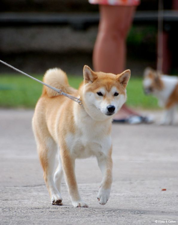 DSC_0248~8.jpg