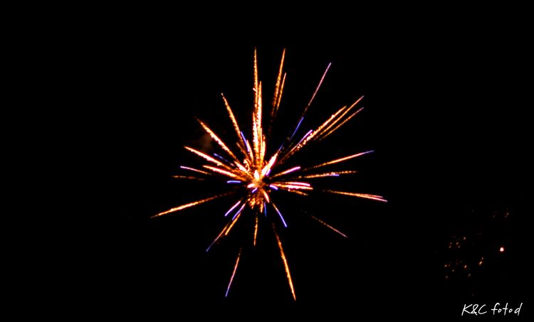 DSC_0270~8.jpg
