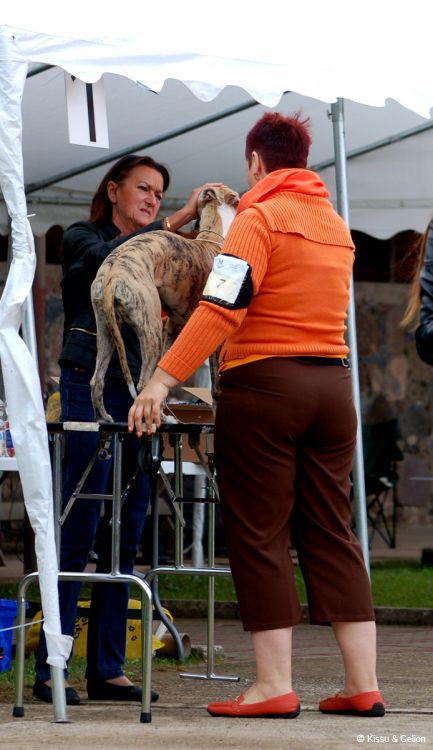 DSC_0277~8.jpg