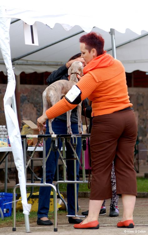 DSC_0315~10.jpg