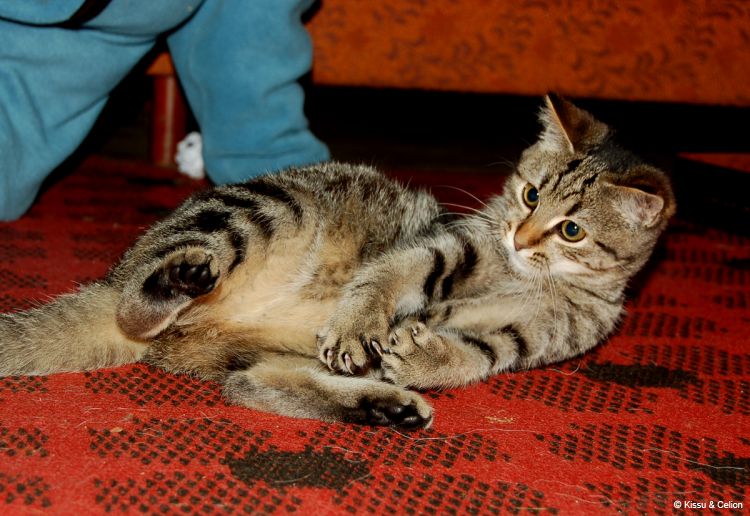 DSC_0330~0.jpg