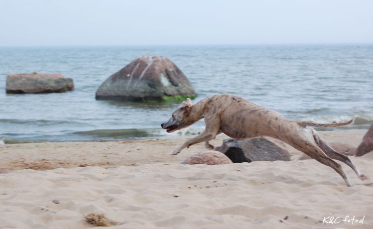 DSC_0331~7.jpg