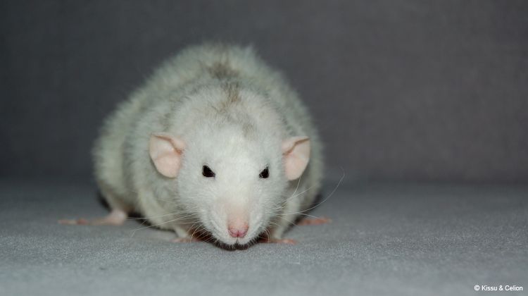 DSC_0335~0.jpg