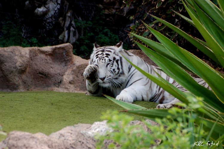 DSC_0360~6.jpg