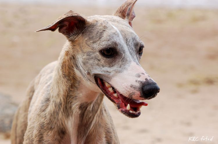 DSC_0366~10.jpg