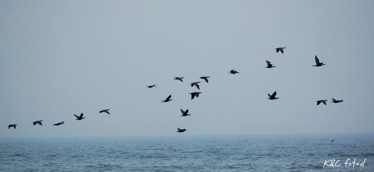 DSC_0377~9.jpg