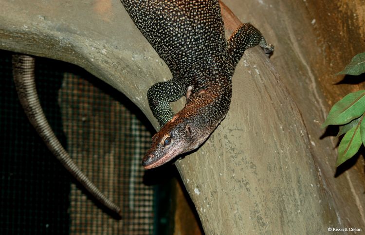 DSC_0401~0.jpg