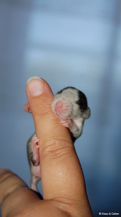 DSC_0403~2.jpg