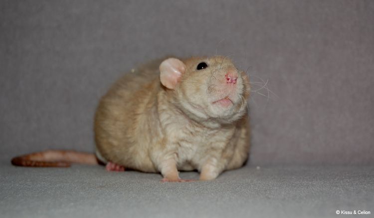 DSC_0478.jpg