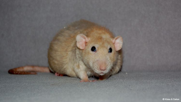 DSC_0479.jpg