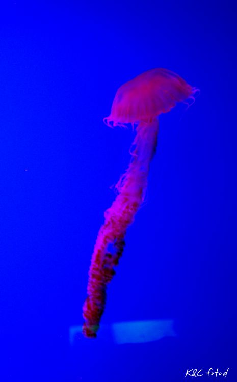 DSC_0530~2.jpg