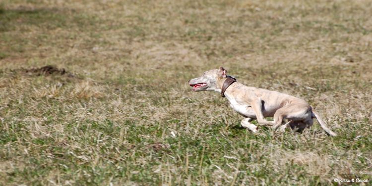DSC_0577.jpg