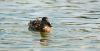 DSC_0003~10.jpg