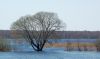DSC_0005~10.jpg