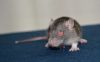 DSC_0011~20.jpg