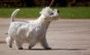 DSC_0011~22.jpg