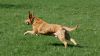 DSC_0011~4.jpg