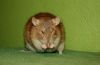 DSC_0014~5.jpg