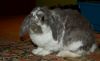 DSC_0017~10.jpg
