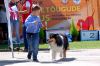 DSC_0018~19.jpg