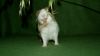 DSC_0021~5.jpg