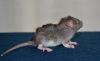 DSC_0022~15.jpg
