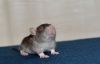 DSC_0023~16.jpg