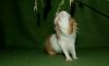 DSC_0033~2.jpg