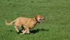 DSC_0048~0.jpg