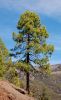 DSC_0055~16.jpg