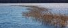 DSC_0076~2.jpg