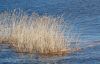 DSC_0087~2.jpg