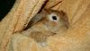 DSC_0096~4.jpg