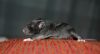 DSC_0096~6.jpg