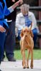 DSC_0099~13.jpg