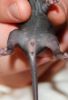 DSC_0103~5.jpg