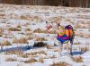 DSC_0112~10.jpg
