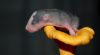 DSC_0116~5.jpg