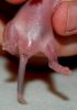 DSC_0118~12.jpg