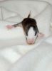 DSC_0118~14.jpg