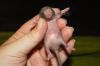 DSC_0118~19.jpg