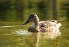 DSC_0118~8.jpg