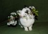 DSC_0120~2.jpg