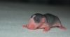 DSC_0121~4.jpg
