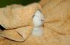 DSC_0123~3.jpg