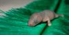 DSC_0125~4.jpg