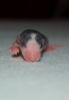 DSC_0127~5.jpg