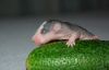 DSC_0129~5.jpg
