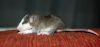 DSC_0131~6.jpg
