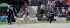 DSC_0137~14.jpg